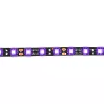 12V Purple Led Strip Roll 16Ft/5M, Waterproof, 300 Leds