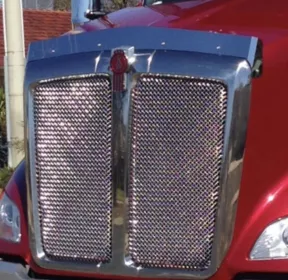 Stainless Steel Bug Deflector To Suit Kenworth Love Hart T610