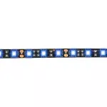 12V Blue Led Strip Roll 16Ft/5M, Waterproof, 300 Leds